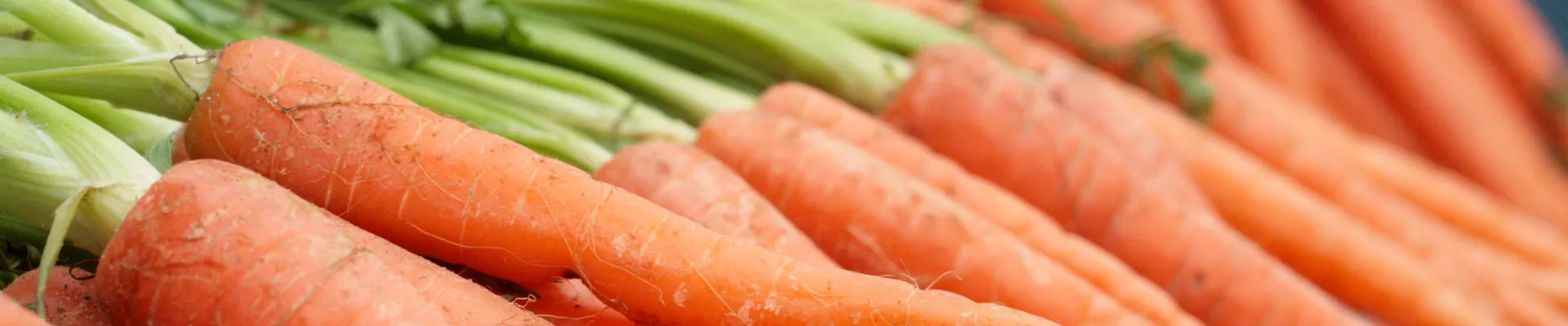 Cultívalo tú mismo: Zanahorias