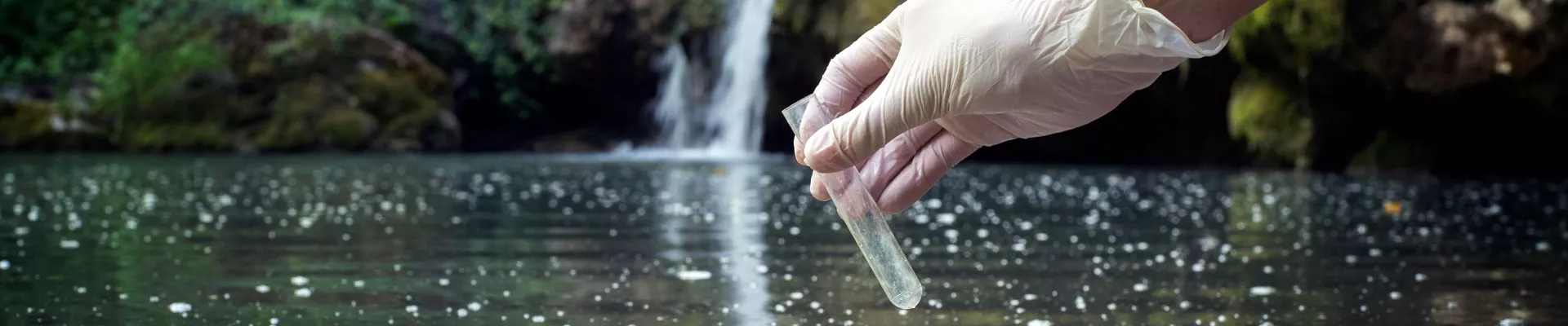 Calidad del agua y su efecto en los cultivos