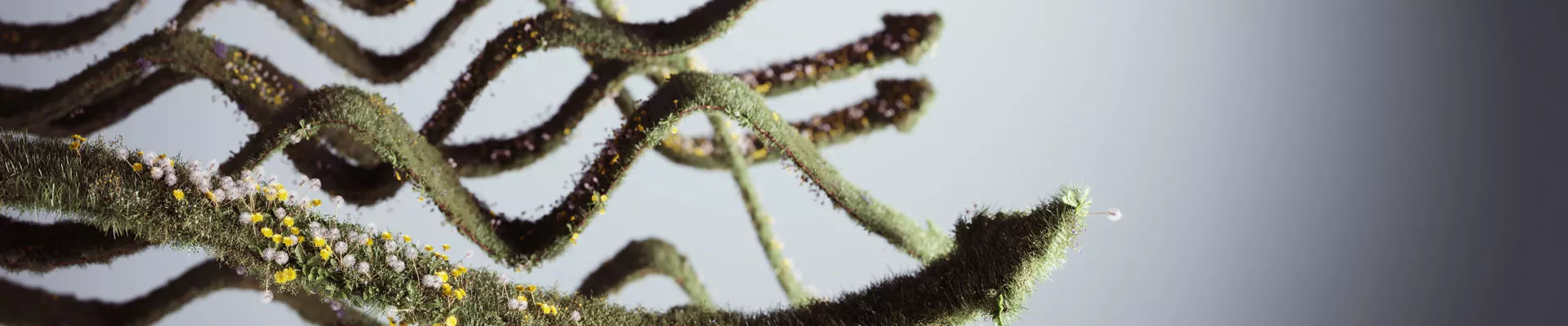 Cómo utilizar todas las herramientas disponibles para controlar las plantas