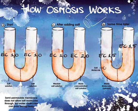 Electrical Conductivity, why it matters