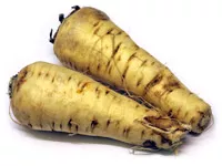 Parsnips – Grow it yourself