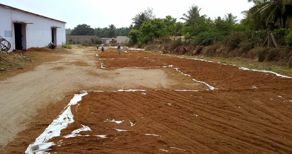 Solución de problemas que puede entrañar el cultivo en sustrato de coco