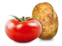 Cultívalo tú mismo: TomTato