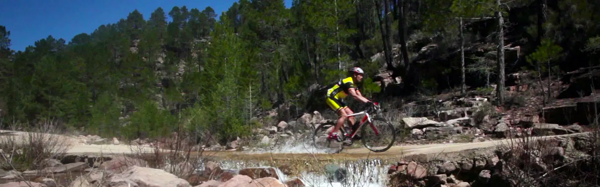 Medical Cannabis Bike Tour