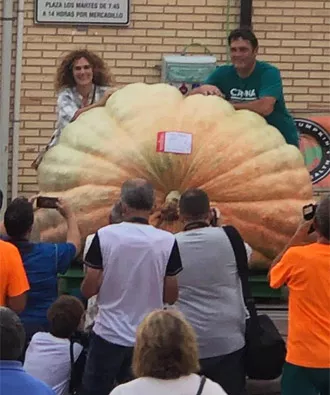 Rubén Mendi gana su quinto Concurso de Calabazas Gigantes