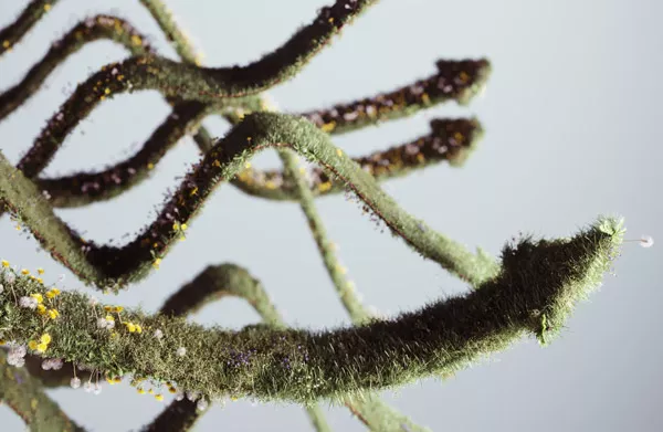 Cómo utilizar todas las herramientas disponibles para controlar las plantas