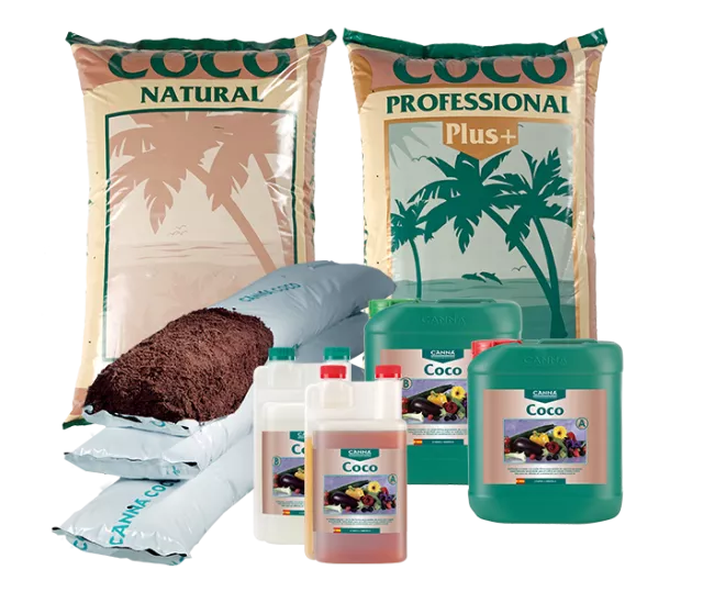 CANNA COCO