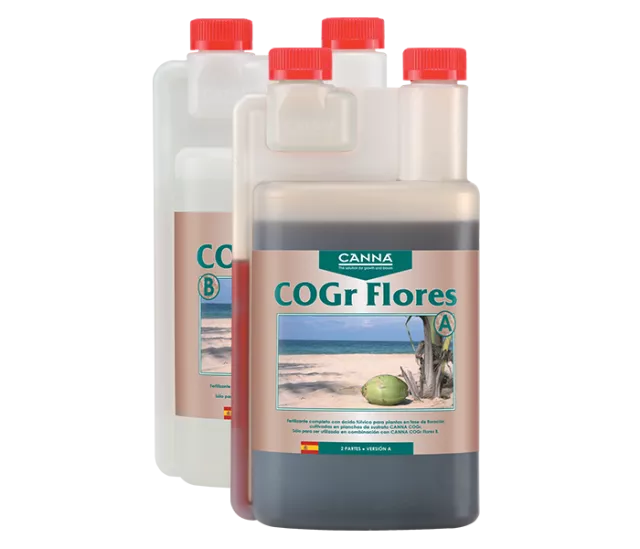 CANNA COGr Flores