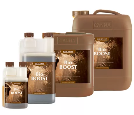 BioBOOST