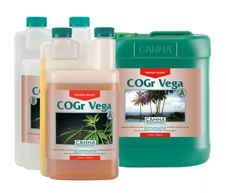 CANNA COGr Vega