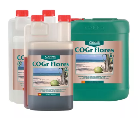 CANNA COGr Flores