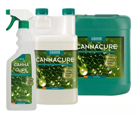 CANNACURE