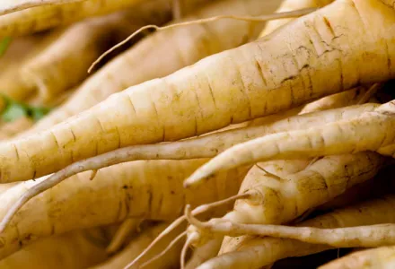 Parsnips – Grow it yourself