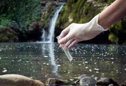 Calidad del agua y su efecto en los cultivos