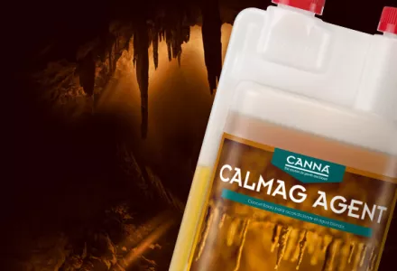 CANNA CALMAG AGENT