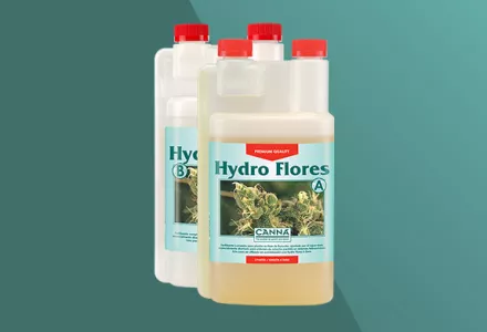 CANNA Hydro Flores