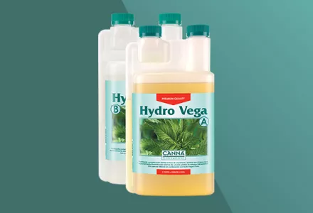 CANNA Hydro Vega