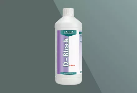 CANNA D-Block