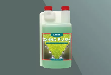 CANNA FLUSH
