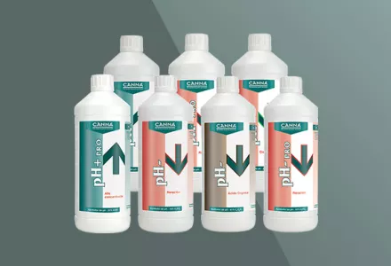 CANNA pH-series