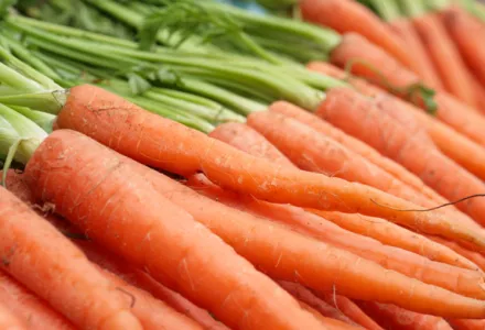 Cultívalo tú mismo: Zanahorias