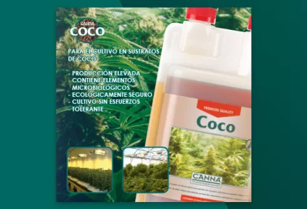 Folleto COCO