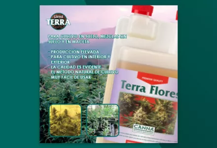 Folleto TERRA