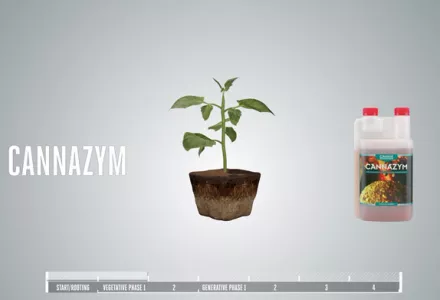 CANNAZYM