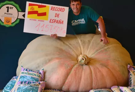 El “rey” de la calabaza gigante