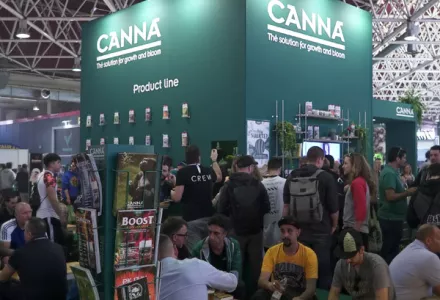 Spannabis 2019