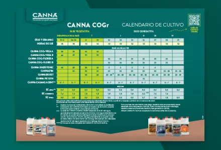 Esquema de cultivo CANNA COGr