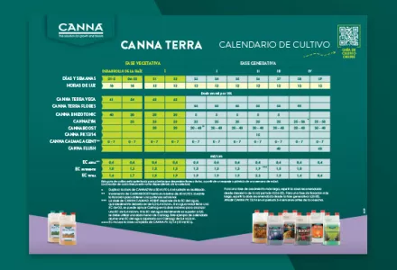 Esquema de cultivo CANNA TERRA