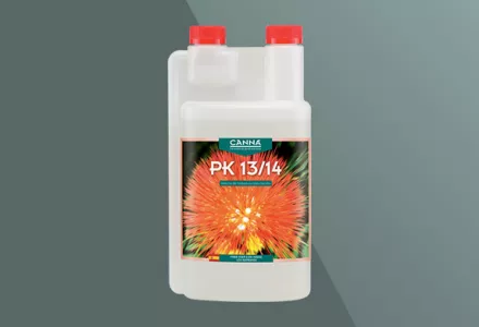 CANNA PK 13/14