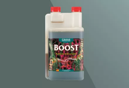 CANNABOOST Accelerator