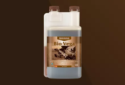 Bio Vega