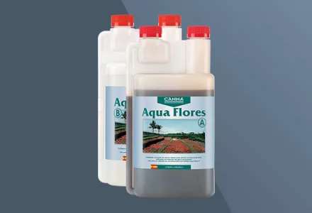 CANNA Aqua Flores