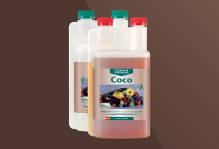 CANNA Coco A&B