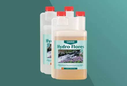 CANNA Hydro Flores