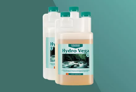 CANNA Hydro Vega