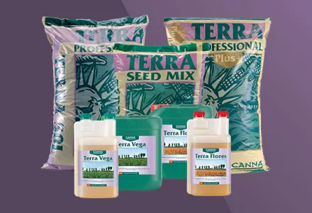 CANNA TERRA