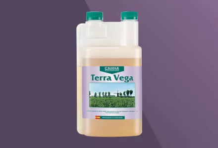 CANNA Terra Vega
