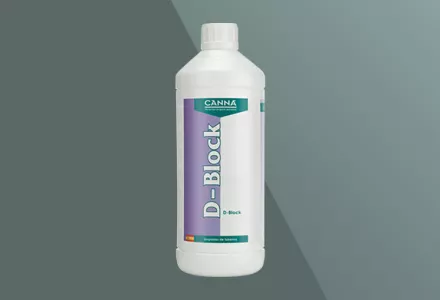 CANNA D-Block