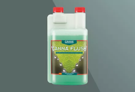 CANNA FLUSH
