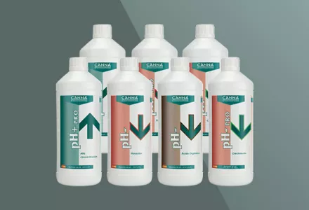 CANNA pH-series