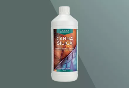 CANNA Silica