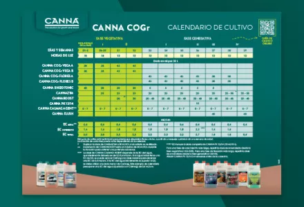Esquema de cultivo CANNA COGr
