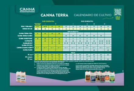 Esquema de cultivo CANNA TERRA