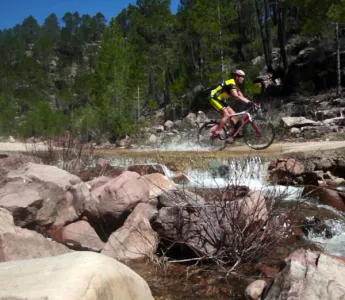 Medical Cannabis Bike Tour