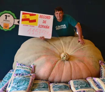 El “rey” de la calabaza gigante