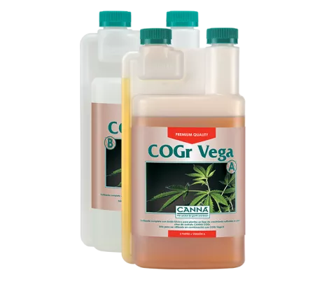 CANNA COGr Vega